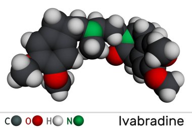 Ivabradine molekülü. Anjina pektoris ilacı. Moleküler model. 3 boyutlu görüntüleme. Görüntü