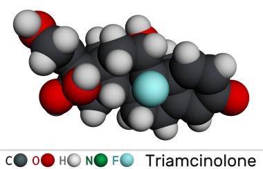 Triamcinolone glukokortikoid molekülü. Çok çeşitli iltihaplı koşulları tedavi etmek için kullanılır. Moleküler model. 3 boyutlu görüntüleme. Görüntü