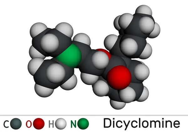 stock image Dicyclomine, dicycloverine molecule. Antimuscarinic drug used to treat IBS. Molecular model. 3D rendering. Illustration