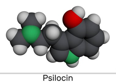 Psilocin molekülü. Bazı mantar türlerinde psikoaktif bileşik. Moleküler model. 3 boyutlu görüntüleme. Görüntü