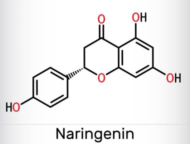 Naringenin molecule. A flavonoid found in citrus fruits with antioxidant and anti-inflammatory properties. Skeletal chemical formula. Vector illustration clipart