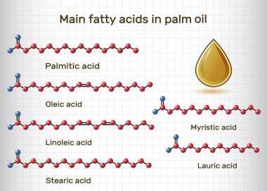 Main fatty acids in palm oil. Palmitic, stearic, oleic, linoleic, myristic, lauric acids molecule. Vector illustration clipart