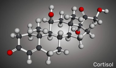 Cortisol, hydrocortisone steroid molecule. Stress hormone involved in metabolism and immune response. Molecular model. 3D rendering.  clipart