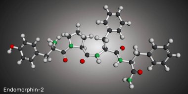 Endomorfin-2 molekülü. Ağrı kesici özelliği olan doğal opioid peptit. Moleküler model. 3B görüntüleme. 