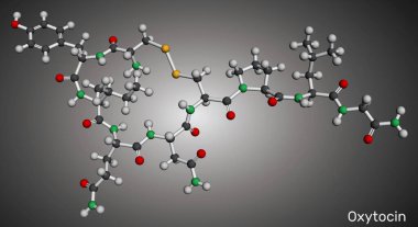 Oksitosin molekülü. Peptid hormonu ve nöropeptid. Moleküler model. 3 boyutlu görüntüleme. Görüntü