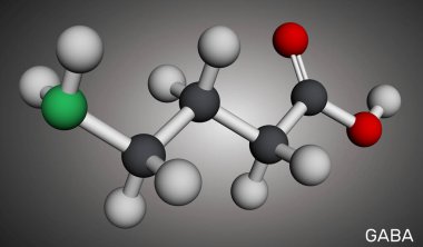 Gama-aminobürik asit (GABA) molekülü. Rahatlama nörotransmiterinin kimyasal yapısı. Moleküler model. 3 boyutlu görüntüleme. Görüntü