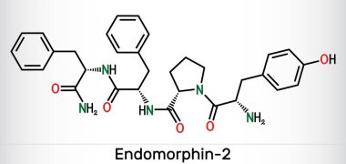 Endomorfin-2 molekülü. Ağrı kesici özelliği olan doğal opioid peptit. İskelet kimyasal formülü. Vektör illüstrasyonu