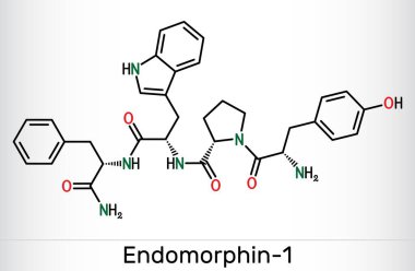 Endomorfin-1 (EM-1) molekülü. Ağrı modülasyonu için endojen opioid peptit. İskelet kimyasal formülü. Vektör illüstrasyonu