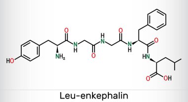 Leu-enkephalin molecule. Endogenous opioid peptide. Skeletal chemical formula. Vector illustration clipart