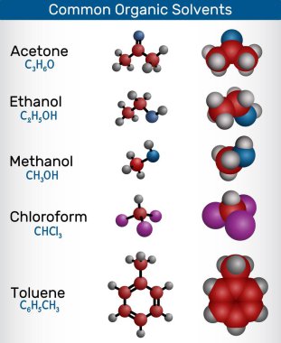 Yaygın organik çözücüler. Moleküler yapı ve 3D aseton, etanol, metanol, kloroform ve tolüen modelleri. Vektör illüstrasyonu