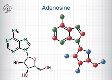 Adenozin ribonükleosit molekülü. Kimyasal yapı, nükleosidin molekül modeli. Kafesteki bir kağıt parçası. Vektör illüstrasyonu