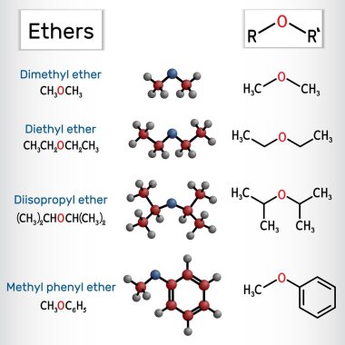 Eter molekülleri. Basit eter bileşiklerinin yapısı ve örnekleri: dimetil, dietil, diizopropil, metil fenil eter. Vektör illüstrasyonu