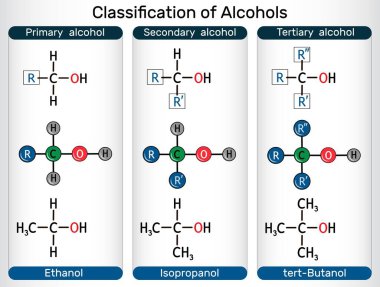 Classification of alcohols. Primary, secondary, tertiary alcohol with ethanol, isopropanol, tert-butanol molecules. Vector illustration clipart