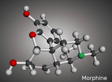Morfin, morfin molekülü. Afyon analjezik psikoaktif ilaç. Moleküler model. 3 boyutlu görüntüleme. Görüntü