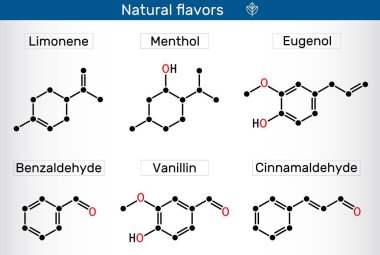 Doğal tat molekülleri. Limonen, mentollü, öjenollü, benzaldehit, vanilyalı ve tarçınlı kimyasallar. Vektör illüstrasyonu