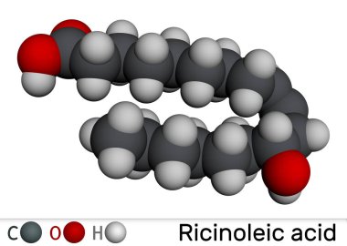 Ricinoleik asit molekülü. Hint yağında bulunan doymamış yağ asidi. Moleküler model. 3 boyutlu görüntüleme. Görüntü