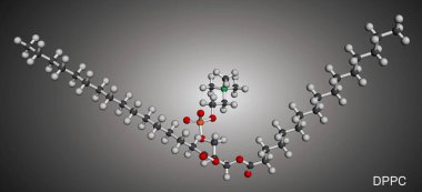 Dipalmitolifosfatidikolin, DPPC molekülü. Akciğer yüzeyinde doğal fosfolipid mevcut. Moleküler model. 3 boyutlu görüntüleme. Görüntü