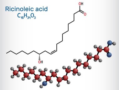Ricinoleik asit molekülü. Hint yağında bulunan doymamış yağ asidi. Yapısal kimyasal formül, molekül modeli. Vektör illüstrasyonu