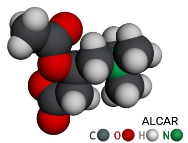 Asetil-L-carnitin, ALC, ALCAR molekülü. Beslenme takviyesi asetilkarnitin. Moleküler model. 3 boyutlu görüntüleme. Görüntü