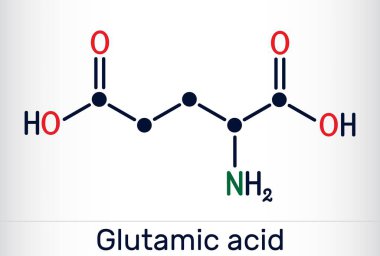 Glutamik asidin iskelet formülü. Grip, E, 2 aminopentanedioik asit molekülü. Amino asit, önemli bir nörotransmiter. Vektör illüstrasyonu