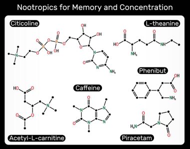 Hafıza ve konsantrasyon için nootropik. Citicoline, L-theanine, Fenibut, Asetil-L-carnitine, Kafein, Pirasetam molekülü