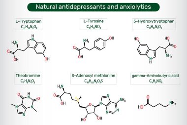 Doğal antidepresanlar ve anksiyete ilaçları. 5 Hydroxytryptophan, L-tryptophan, Theobromine, L-Tyrosine, S-Adenosyl methionine, GABA molekülü. Vektör bilimsel illüstrasyon