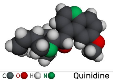 Kinin molekülü. Antiaritmik bir ilaç, cyp2d6 inhibitörü. Moleküler model. 3 boyutlu görüntüleme. Görüntü 