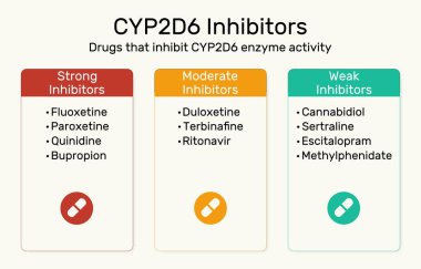 CYP2D6 inhibitörleri. CYP2D6 enzim aktivitesini engelleyen ilaçlar. Güçlü, ılımlı ve zayıf inhibitörler. Vektör illüstrasyonu