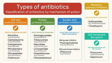 Antibiyotik türleri. Hücre duvarı sentezi, protein sentezi, nükleik asit sentezi, metabolik yol, hücre zarı parçalayıcıları.