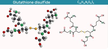 Glutathione disülfit, GSSG molekülü. Oksitlenmiş glutathione antioksidan. Yapısal kimyasal formül, molekül modeli. Görüntü