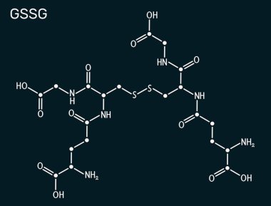 Glutathione disülfit, GSSG molekülü. Oksitlenmiş glutathione antioksidan. İskelet kimyasal formül, koyu mavi arkaplan. Görüntü