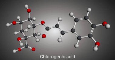 Klorojenik asit molekülü. Bitkisel polifenol antioksidanın kimyasal yapısı. Moleküler model. 3 boyutlu görüntüleme. Görüntü