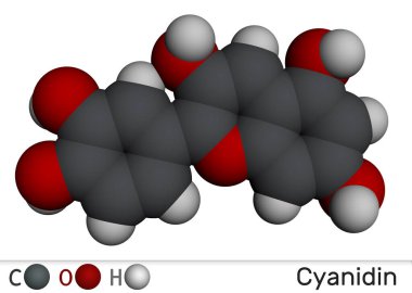 Siyanidin molekülü. Böğürtlen ve bitkilerde bulunan katyonik anthocyanidin pigmenti. Moleküler model. 3 boyutlu görüntüleme. Görüntü