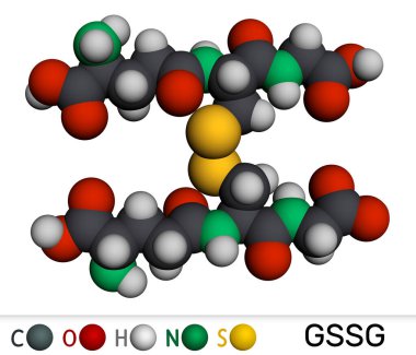 Glutathione disülfit, GSSG molekülü. Oksitlenmiş glutathione antioksidan. Moleküler model. 3 boyutlu görüntüleme. Görüntü