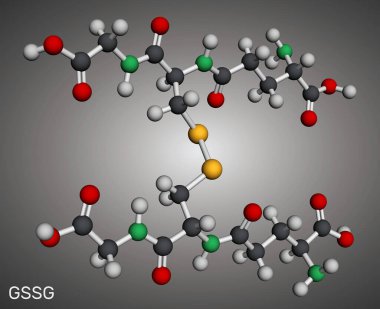 Glutathione disülfit, GSSG molekülü. Oksitlenmiş glutathione antioksidan. Moleküler model. 3 boyutlu görüntüleme. Görüntü