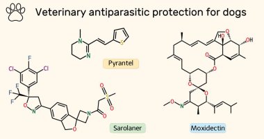 Köpekler için veteriner antiparazit ilaç molekülleri. Sarolaner, Pyrantel ve Moxidectin 'in kimyasal yapıları. Vektör illüstrasyonu