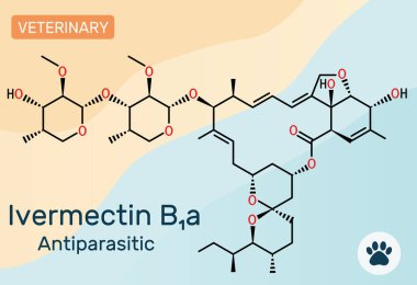 Ivermectin B1a molekülü. Veteriner ve insan tıbbında kullanılan parazit önleyici madde. Vektör illüstrasyonu