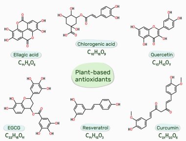Bitki bazlı doğal antioksidan molekülü ellajik, klorojenik asit, epigallocatechin gallate (EGCG), resveratrol, quercetin, curcumin