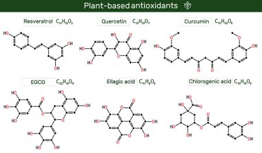 Bitki bazlı doğal antioksidan molekülü ellajik, klorojenik asit, epigallocatechin gallate (EGCG), resveratrol, quercetin, curcumin