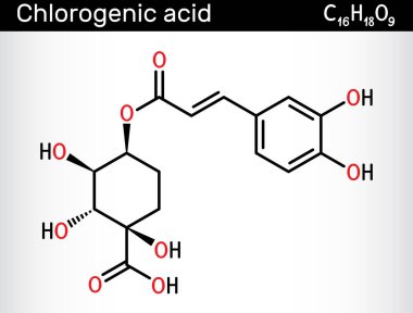 Klorojenik asit molekülü. Bitkisel polifenol antioksidanın kimyasal yapısı. Vektör illüstrasyonu