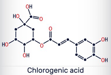 Klorojenik asit molekülü. Bitkisel polifenol antioksidanın kimyasal yapısı. Vektör illüstrasyonu