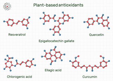 Bitki bazlı doğal antioksidan molekülü ellajik, klorojenik asit, epigallocatechin gallate (EGCG), resveratrol, quercetin, curcumin