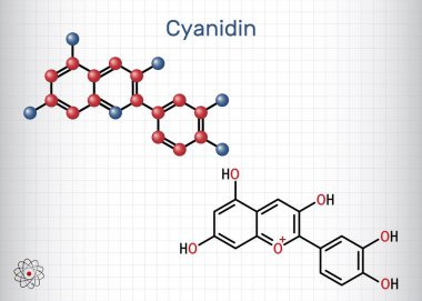 Siyanidin molekülü. Böğürtlen ve bitkilerde bulunan katyonik anthocyanidin pigmenti. Kafesteki bir kağıt parçası