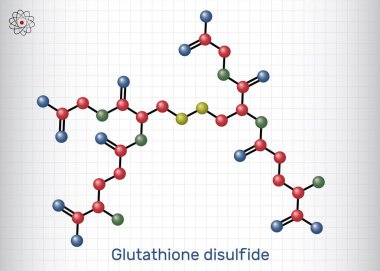 Glutathione disülfit, GSSG molekülü. Oksitlenmiş glutathione antioksidan. Kafesteki bir kağıt parçası. Vektör illüstrasyonu