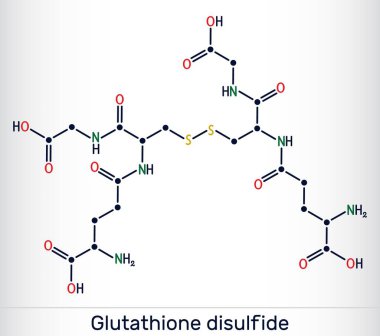 Glutathione disülfit, GSSG molekülü. Oksitlenmiş glutathione antioksidan. İskelet kimyasal formülü. Vektör illüstrasyonu