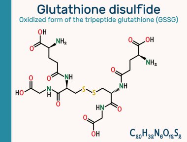 Glutathione disülfit, GSSG molekülü. Oksitlenmiş glutathione antioksidan. Vektör illüstrasyonu