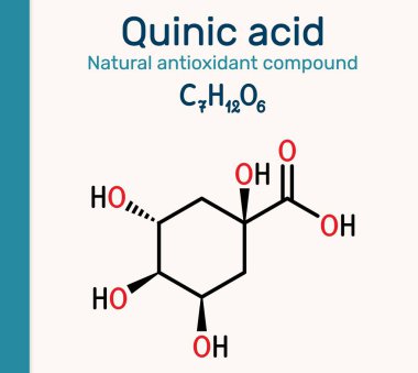 Kinin asit molekülü. Antioksidan ve antiinflamatuar özellikleri olan doğal bitkisel bileşik. Vektör illüstrasyonu