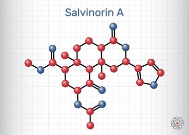 Salvinorin A molekülü. Salvia Divinorum 'dan güçlü bir halüsinojenik bileşik. Yapısal top ve sopa modeli. Kafesteki bir kağıt parçası