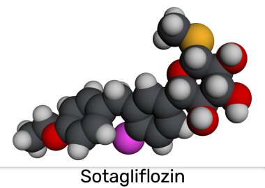 Sotagliflozin molekülü. Çift SGLT1 ve SGLT2 inhibitörü diyabet tedavisinde kullanılır. Moleküler model. 3 boyutlu görüntüleme. Görüntü