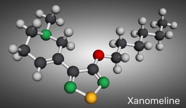 Xanomeline molekül. M1 ve M4 muskarinik reseptör agonisti Alzheimer hastalığı, şizofreni tedavisi için çalışmıştır. Moleküler model. 3B görüntüleme